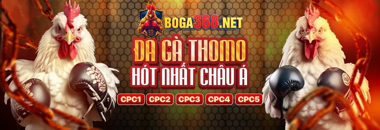 Trường gà chuyên nghiệp tại PK88 Nhà Cái